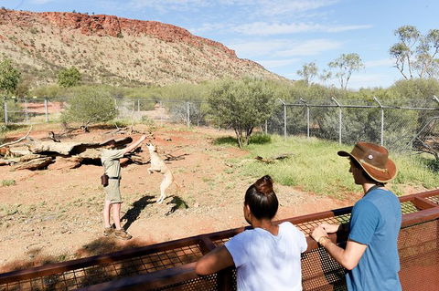 Alice Springs Desert Park General Entry Ticket - Hotels Melbourne 9
