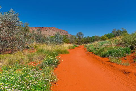 Alice Springs Desert Park General Entry Ticket - Hotels Melbourne 7