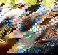 Tiwi Islands Cultural Experience from Darwin Including Ferry - Hotels Melbourne