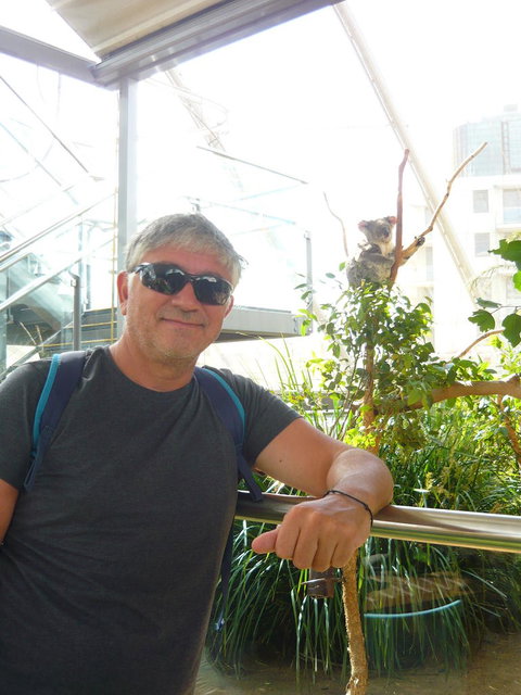 Sydney Pass: SEA LIFE Aquarium, Sydney Tower Eye, WILD LIFE Sydney, Sydney Harbour Cruise, And Madame Tussauds - Hotels Melbourne 3