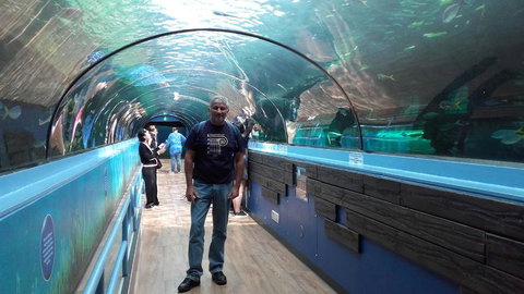 Sydney Pass: SEA LIFE Aquarium, Sydney Tower Eye, WILD LIFE Sydney, Sydney Harbour Cruise, And Madame Tussauds - Hotels Melbourne 5