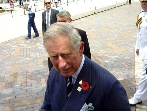 Sydney Pass: SEA LIFE Aquarium, Sydney Tower Eye, WILD LIFE Sydney, Sydney Harbour Cruise, And Madame Tussauds - Hotels Melbourne 22