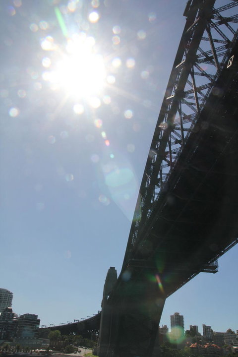 Sydney Pass: SEA LIFE Aquarium, Sydney Tower Eye, WILD LIFE Sydney, Sydney Harbour Cruise, And Madame Tussauds - Hotels Melbourne 20