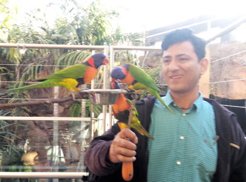 Sydney Pass: SEA LIFE Aquarium, Sydney Tower Eye, WILD LIFE Sydney, Sydney Harbour Cruise, And Madame Tussauds - Hotels Melbourne 7