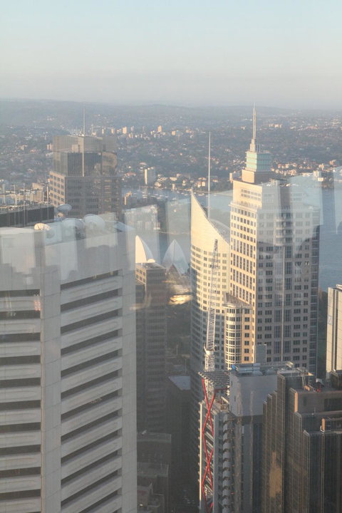 Sydney Pass: SEA LIFE Aquarium, Sydney Tower Eye, WILD LIFE Sydney, Sydney Harbour Cruise, And Madame Tussauds - Hotels Melbourne 18