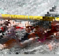 Jervis Bay Boom Netting and Dolphins Tour - Hotels Melbourne