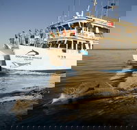 Jervis Bay Dolphin Watch Cruise - Hotels Melbourne