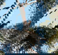 Castle Creek Reserve - Hotels Melbourne