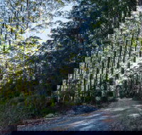 Hastings Forest Way Touring Route - Hotels Melbourne