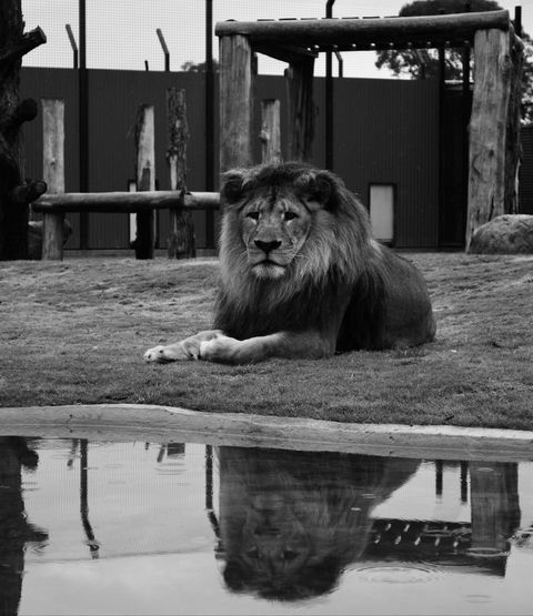 Hunter Valley Zoo - Hotels Melbourne 0