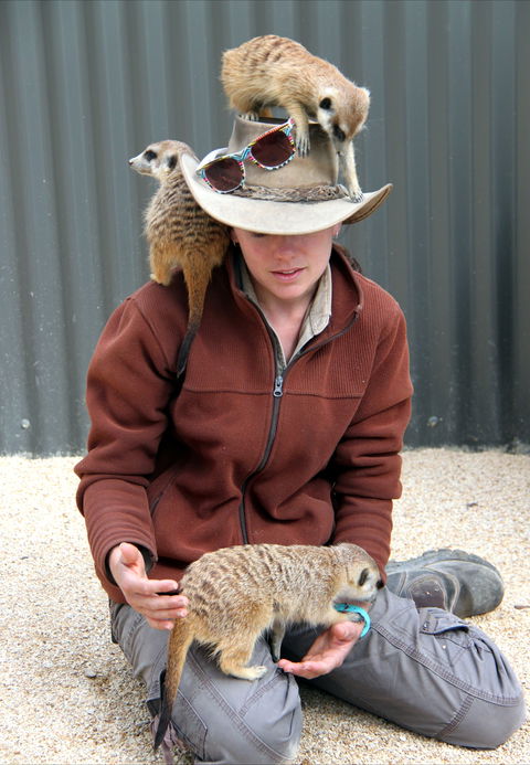 Hunter Valley Zoo - Hotels Melbourne 2
