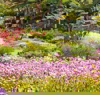 Jurassic Garden AR Experience - Hotels Melbourne