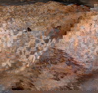 Ngamadjidj Shelter - Wartook Valley - Hotels Melbourne