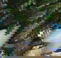 Noreen's Seaside Shop