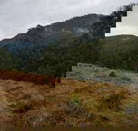 Nowendoc National Park - Hotels Melbourne