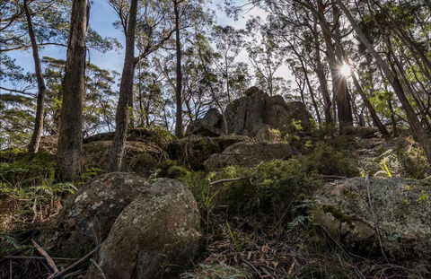 Pheasants Peak Walking Track - Hotels Melbourne 0
