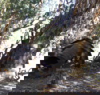 PS Providence historic site - Hotels Melbourne