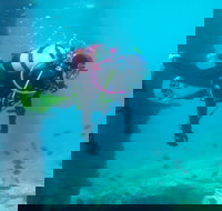 Shellharbour Scuba  and Photography Centre