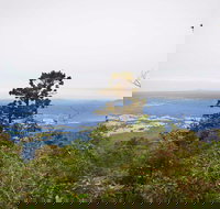 Slingsbys Trail and Syndicate Ridge Track - Hotels Melbourne