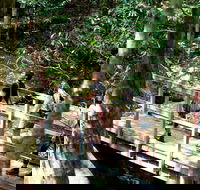 Watagans National Park - Hotels Melbourne