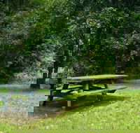 Williams River picnic area - Hotels Melbourne