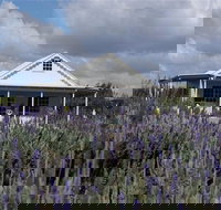 Amandine Lavender - Hotels Melbourne