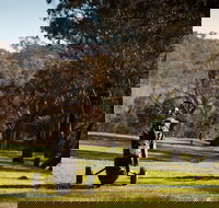 Blayney Golf Club - Hotels Melbourne