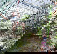 Cairns ZOOM and Wildlife Dome - Hotels Melbourne