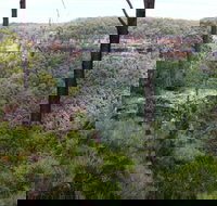 East Rim wildflower walking track - Hotels Melbourne