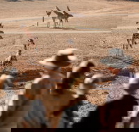 Monarto Safari Park - Hotels Melbourne