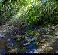 Nambucca Valley - Hotels Melbourne