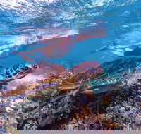 Ningaloo Marine Park