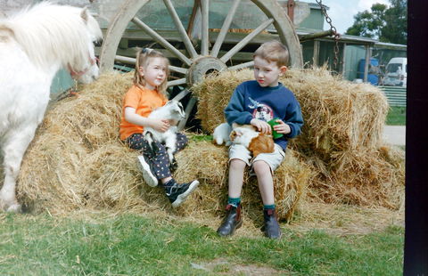 Rain Hayne And Shine Farmyard - Hotels Melbourne 0