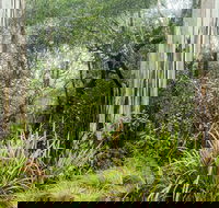 River walking track - Hotels Melbourne