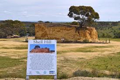 Shell Hill Reserve - Hotels Melbourne 0