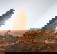 The Living Desert and Sculptures