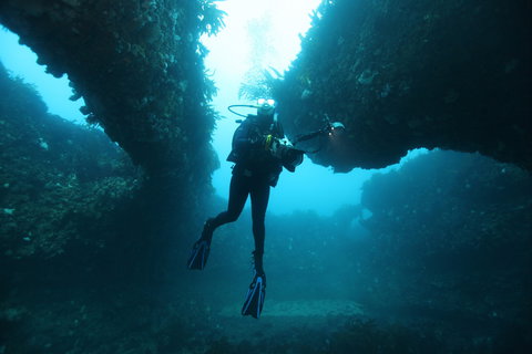The Arches Marine Sanctuary - Hotels Melbourne 1