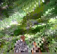 Wet Tropics Rainforest - Hotels Melbourne