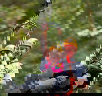 Zipline at Illawarra Fly - Hotels Melbourne