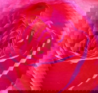 Abandon Stress Mobile Massage - Hotels Melbourne