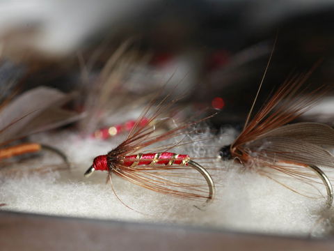 Australian Fly Fishing Museum - Hotels Melbourne 0