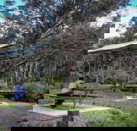 Barrington Tops State Forest - Hotels Melbourne