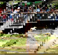 Crocodylus Park and Zoo - Hotels Melbourne
