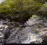 Gloucester River walking track - Hotels Melbourne