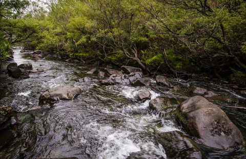 Gloucester River Walking Track - Hotels Melbourne 0