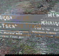 Mount Murga Walking Track - Hotels Melbourne