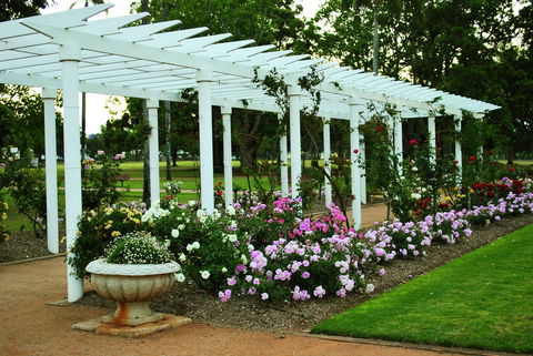 Newtown Park State Rose Garden - Hotels Melbourne 1