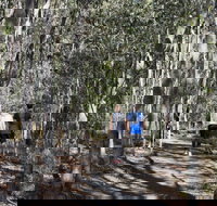 Six Mile Creek Bluff Lookout and Little White Rock Trails
