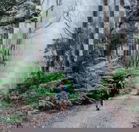 The Corn Trail Walking Track - Hotels Melbourne