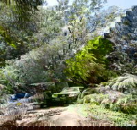 Wadbilliga Road drive - Hotels Melbourne